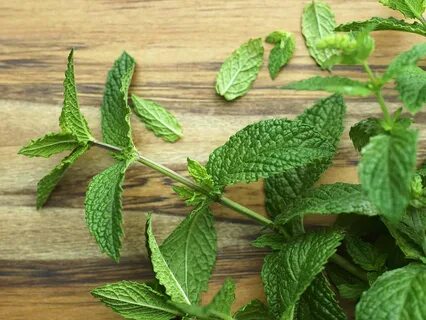 فروش آنلاین سبزی نعناع خشک فله‌ای